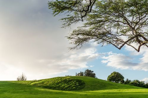 scenic hill landscape