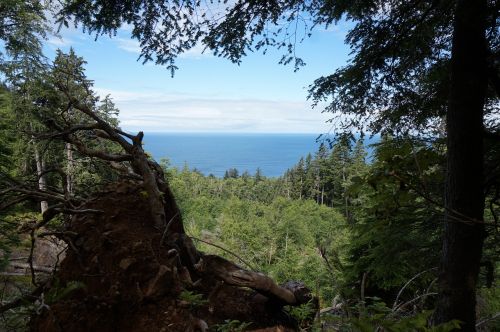 scenic ocean trail