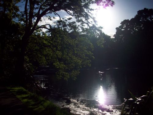 Scenic River NZ