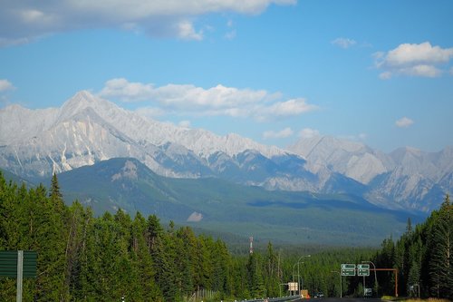 scenic view  green forest  mountains