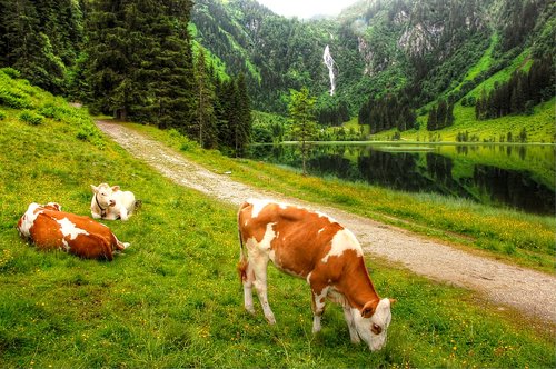 schladming  lake constance  austria