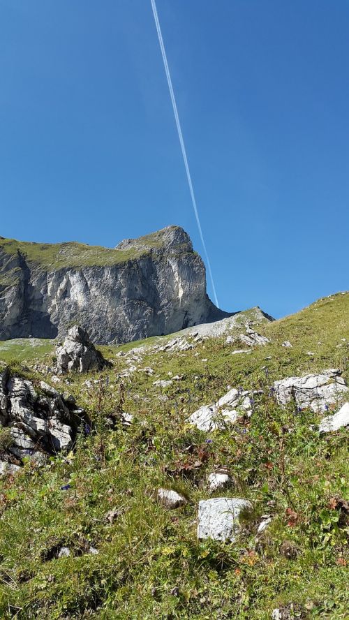 schneck allgäu mountains