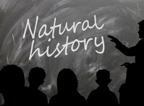school board natural history