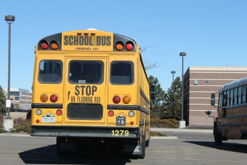 school bus transportation