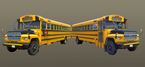 school bus bus school