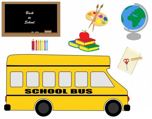 school bus bus school