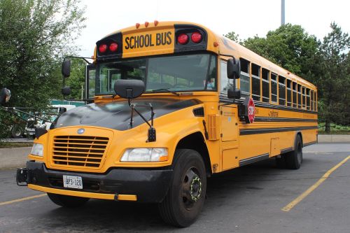 school bus canada montreal