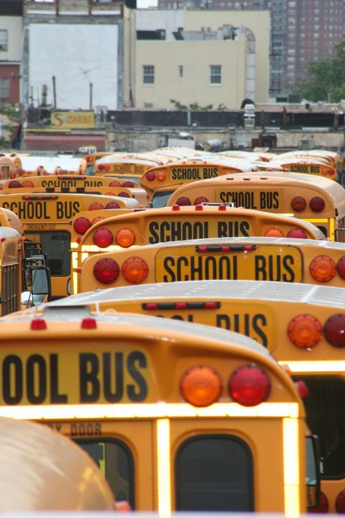 school bus america vehicles