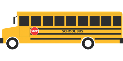 schoolbus school education