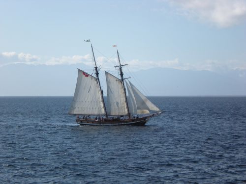 schooner sailing sea