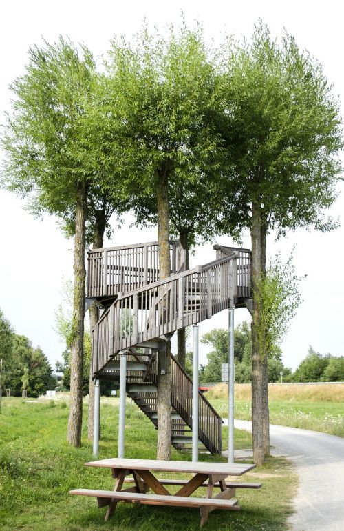 schwarzach observation tower upward