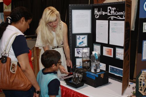 science fair curious education