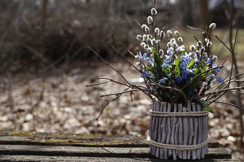 scilla  bouquet  blue