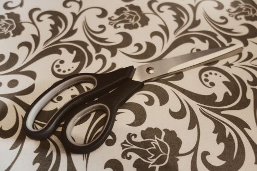scissors craft cut