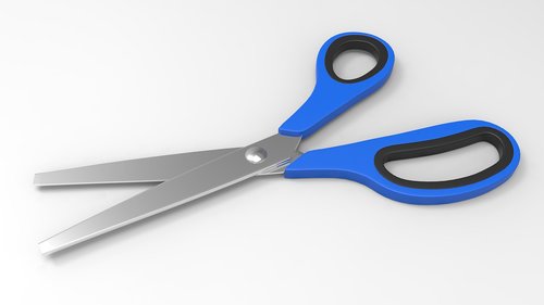 scissors  cut  court