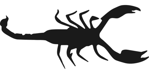 scorpio  zodiac  arachnid