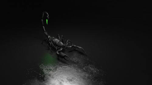 scorpion computer graphics graphic