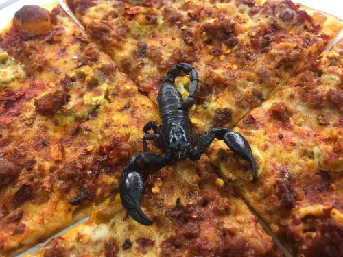 scorpion pizza hot