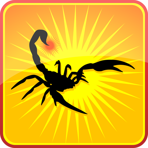 scorpion  silhouette  insects