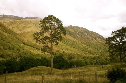 scotland highlands and islands nature