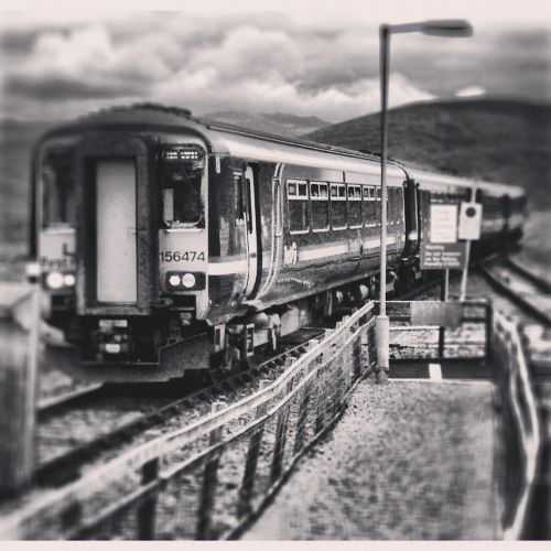scotland train black and white