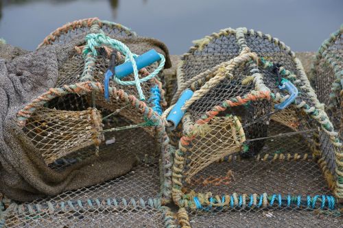 scotland grass box fish-catching basket