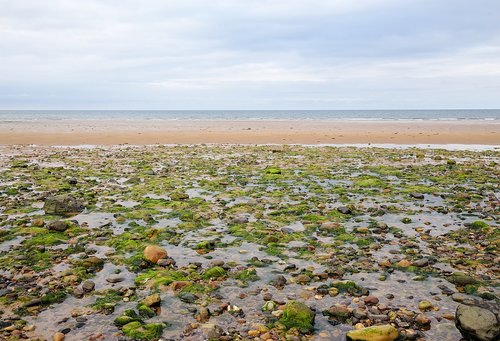 scotland  sea  beach