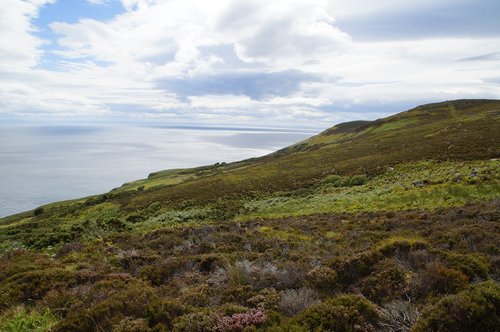 scotland  heide  coast