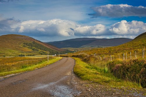 scotland  country road  nature