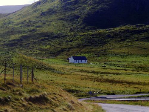 scotland landscape green