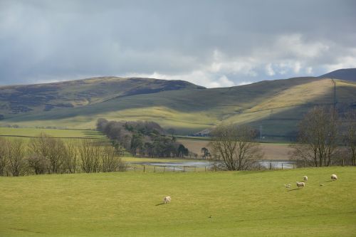 scottish nature landscape