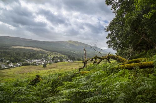 Scottish Landscape