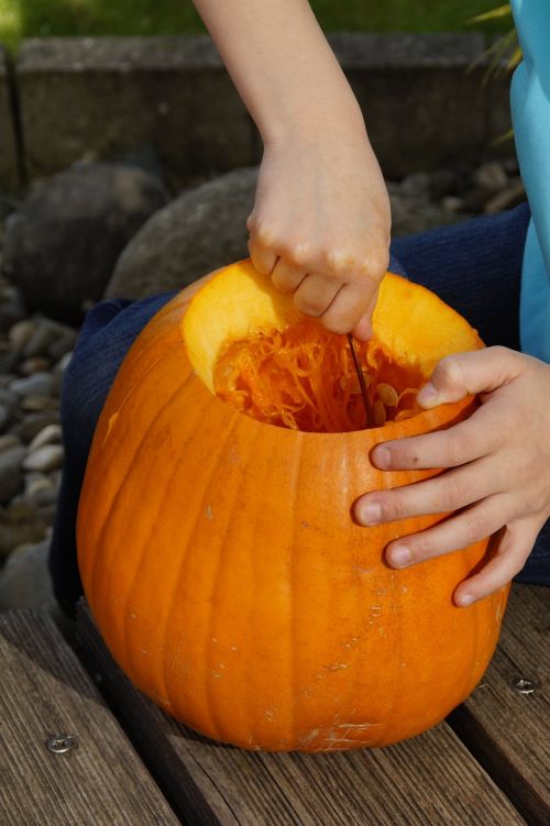 scrape off scoop out pumpkin
