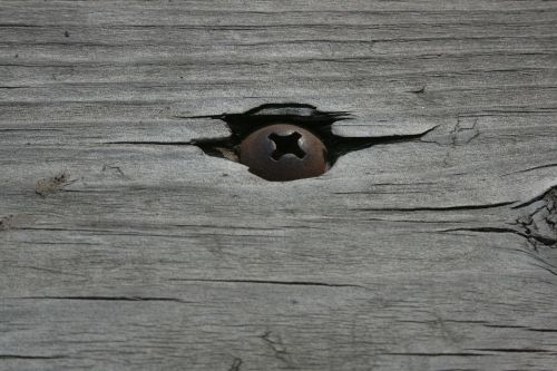 screw wood weathered