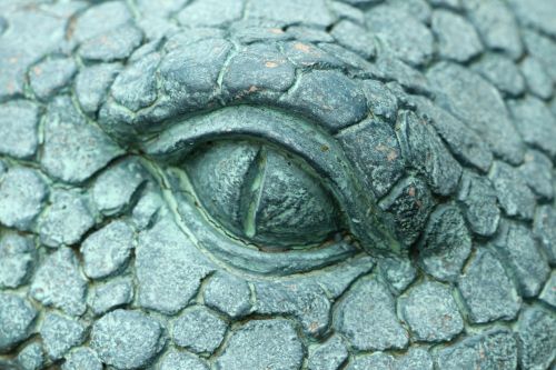 Sculpted Crocodile Eye