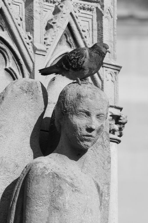 sculpture black and white pigeon