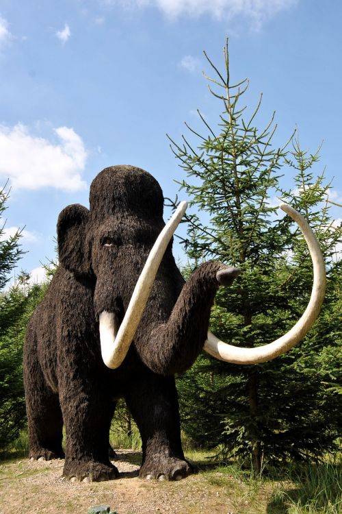 sculpture animal sculpture wool mammoth