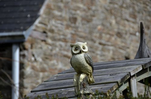 sculpture owl animal