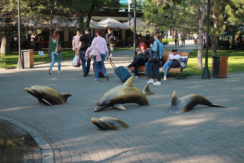 sculpture  dolphins  asphalt