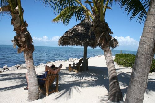 sea florida beach