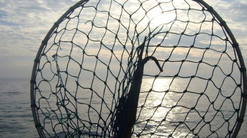 to go fishing sea landing net