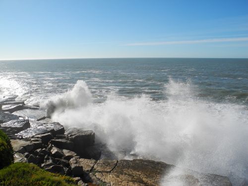 sea argentina water