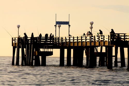 sea pier investors