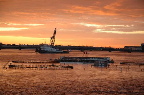 sea sunset boat