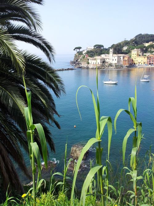 sea sestri levante summer