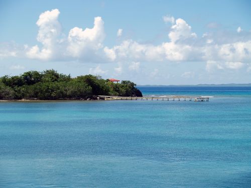 sea water beach