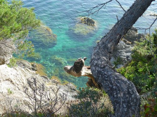 sea mediterranean rock