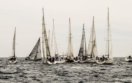 sea vela boats