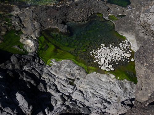 sea rocky coast green water