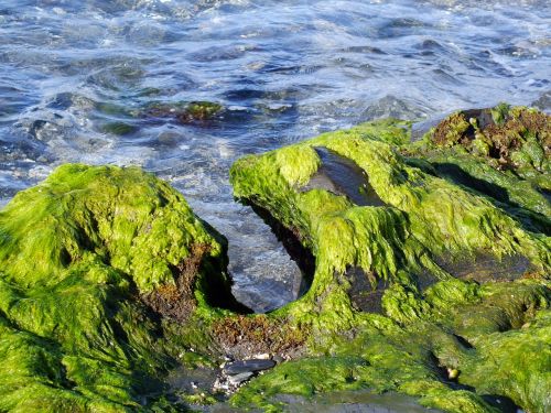 sea beach erosion